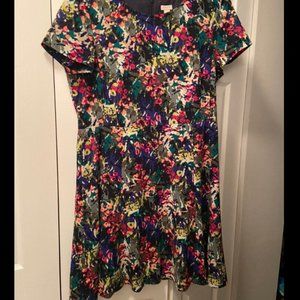 J Crew Floral Multicolor Dress